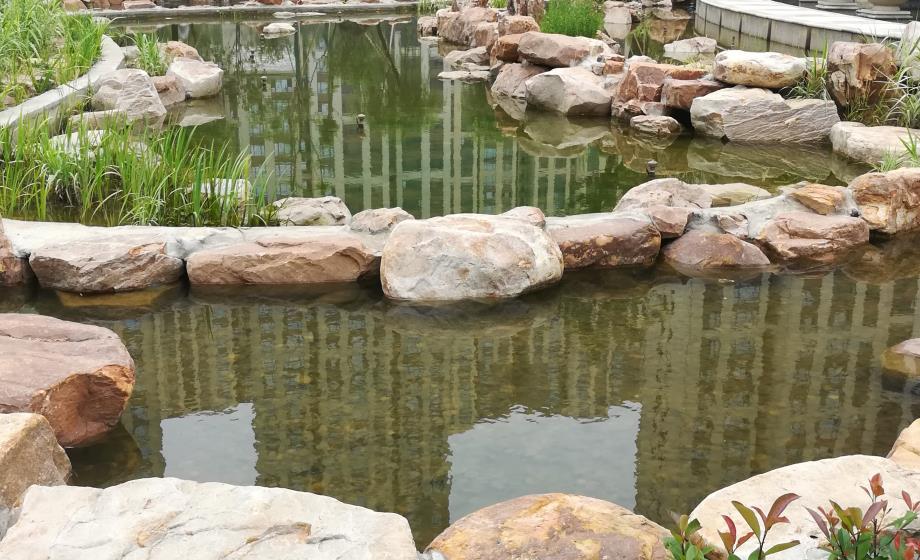 湖北凯蒂园林 湖北凯蒂园林