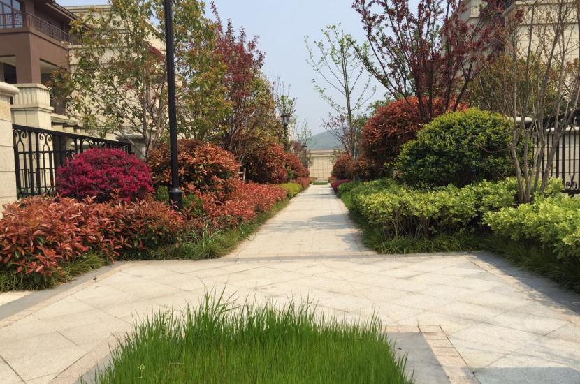 湖北园林施工 湖北园林施工