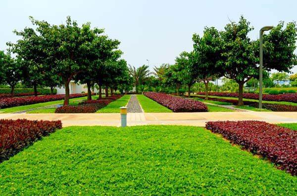 园林绿化中几何色块的出“彩”设计