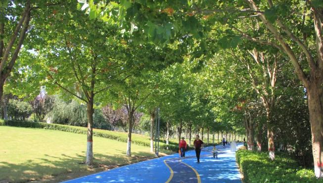 凯蒂园林分享如何提高园林景观工程施工质量