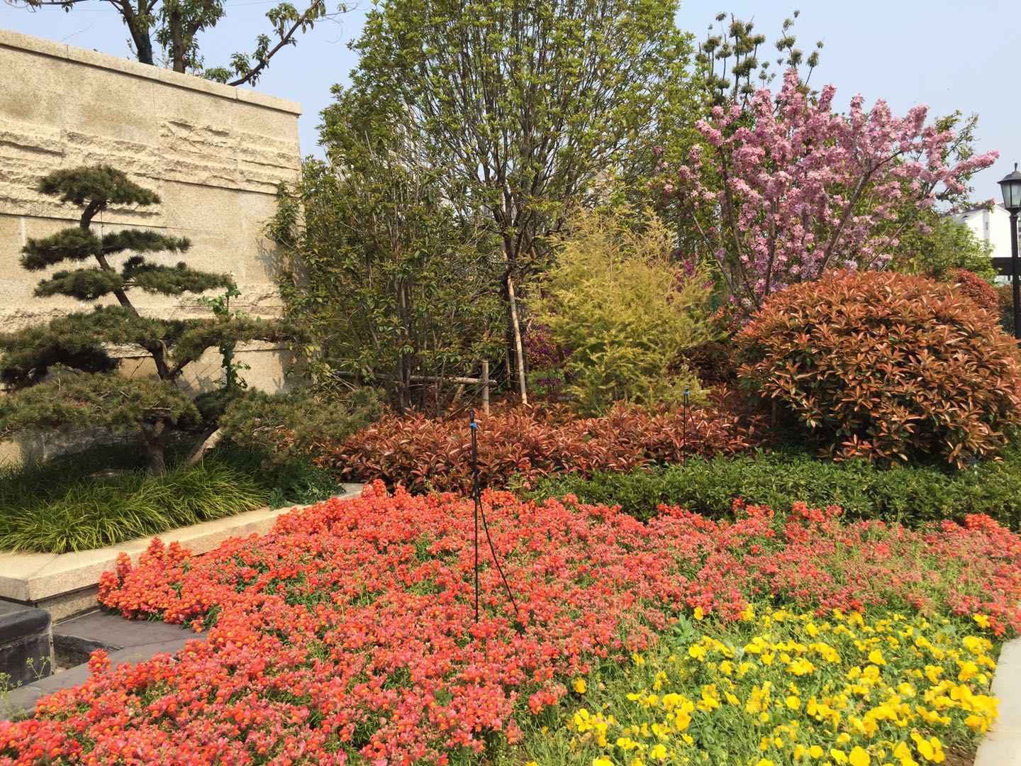 园林景观设计流程你真的了解吗