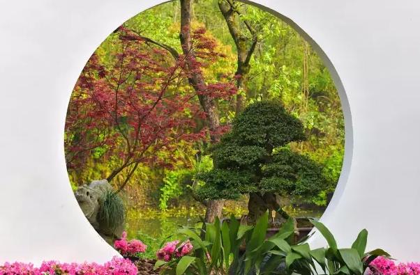 园林景观中的重头戏——植物景观设计