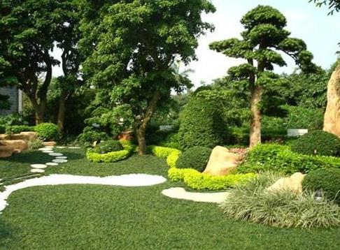 技术|开春园林绿化养护重点工作