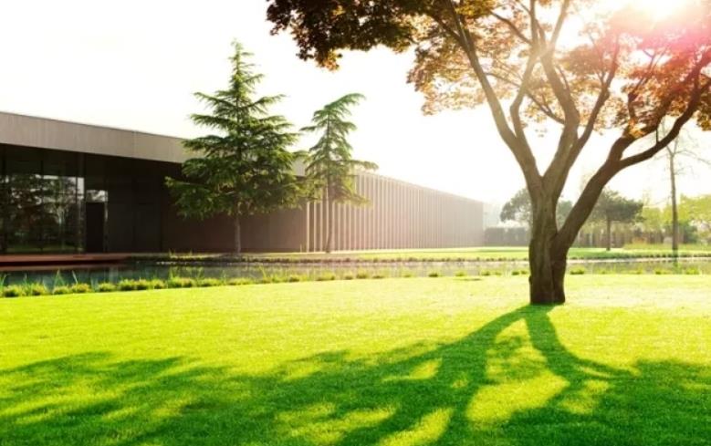 湖北园林景观公司分享冬日的草坪维护小技巧