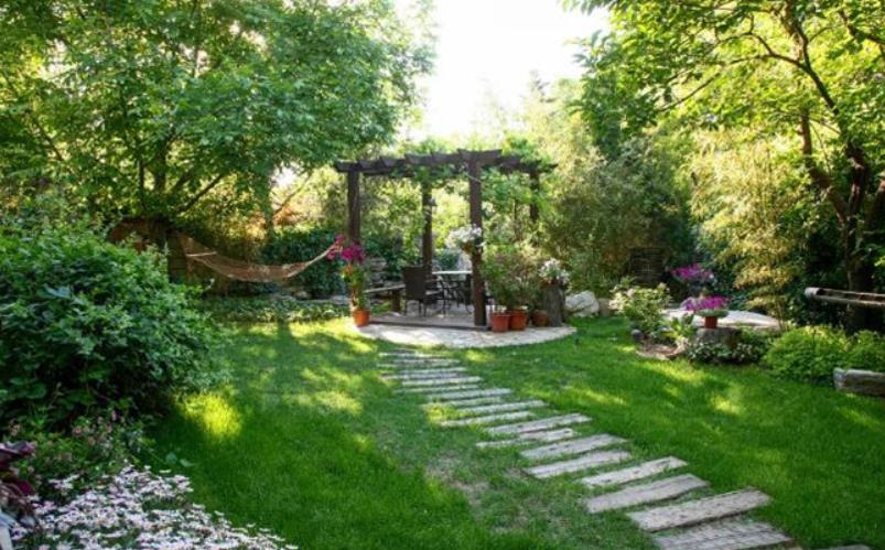 小区绿化景观设计中常用的绿化植物有哪些？